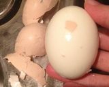 ゆで卵の綺麗な殻むき作り方5写真