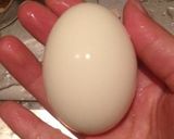 ゆで卵の綺麗な殻むき作り方6写真