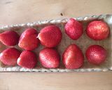 イチゴのレアチーズタルト作り方8写真