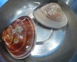 料亭の味!蛤の酒蒸しあんかけ❀作り方1写真