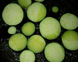 常備菜☆とろとろ茄子の香味漬け作り方3写真