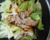 春キャベツと豚小間肉炒め、のせご飯作り方9写真