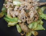 春キャベツと豚小間肉炒め、のせご飯作り方10写真