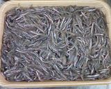 ひよこさんちの「いかなごの釘煮」作り方1写真