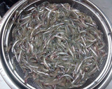 ひよこさんちの「いかなごの釘煮」作り方2写真