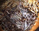 いかなごの釘煮作り方5写真