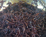 ひよこさんちの「いかなごの釘煮」作り方8写真