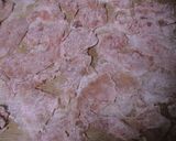健康法師の　とろりん鶏むね肉の中華ソース作り方1写真