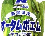 オータムポエムと玉ねぎの玉子炒め作り方4写真