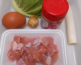 春キャベツと鶏こま切れ肉の親子炒めご飯作り方1写真