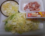 春キャベツと鶏こま切れ肉の親子炒めご飯作り方2写真