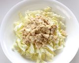 何コレ！簡単！豆腐とキャベツのサラダ作り方5写真