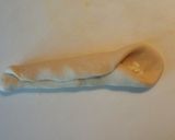 チーズ入り☆豆腐ベーグル作り方3写真