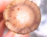 いつでも味決まる！きんぴらごぼう作り方8写真