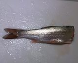 ウグイの唐揚げ作り方1写真