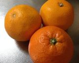 高1男子が作る！オレンジゼリー作り方4写真
