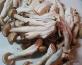 オイルサーディンとしめじのアヒージョ♪作り方1写真