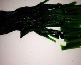 ほうれん草ナムル風✳︎時短料理作り方1写真