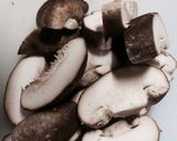 濃厚牡蠣のクリームシチュー作り方6写真