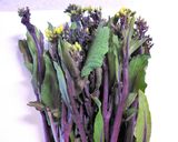 コウタイ菜の炒めもの作り方1写真