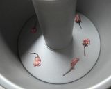ノンオイルでヘルシー★桜のシフォンケーキ作り方6写真