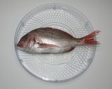 簡単☆すぐできる食品乾燥機で鯛の干物作り作り方3写真