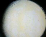 簡単じゃがいものホワイトソース焼き作り方3写真