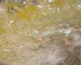 ✿春の明太子パスタ✿作り方5写真
