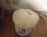 ほしの酵母とはるゆたかでベーグル作り方3写真