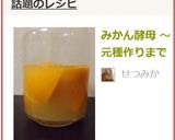 みかん酵母 〜元種作りまで作り方11写真