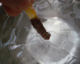 ハッサクのピールとチョコピール作り方11写真