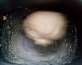 全粒小麦のピーナッツのトースト~作り方1写真