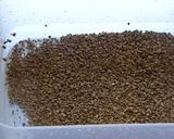 アガーでコーヒーゼリー☆作り方6写真