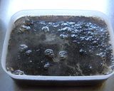 アガーでコーヒーゼリー☆作り方8写真