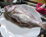 鯛のメレンゲ焼き作り方1写真