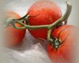 冷凍完熟トマト作り方10写真