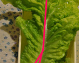 柿ピーソースの蒸し鶏で春の巻きまきサラダ作り方6写真