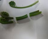こごみのゴマ和えは春のお味♡作り方5写真