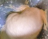 HBでコネコネ～♪簡単甘納豆の抹茶パン♪作り方3写真