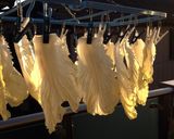 一昼干しのススメ✨白菜激ウマッ✨作り方1写真