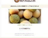 材料3つ!簡単 スノーボール ♡作り方6写真