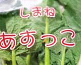 春の彩りあすっこと鯖パスタ♡作り方2写真