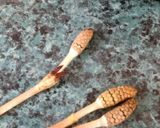 春だよ(*^^*)筑紫の卵とじ作り方1写真