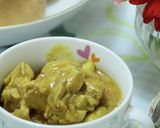 塩ヨーグルトチキンのスパイスカレー作り方14写真