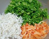 青ネギとしらすと桜エビのかき揚げ作り方1写真