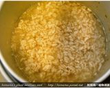 黑木耳青木瓜雞湯粥．柯媽媽の植物燕窩作り方4写真
