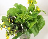 オーブントースターで菜花・紅菜苔のグリル作り方2写真
