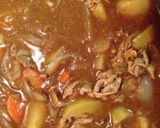 具だくさんカレー作り方4写真