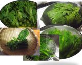 菜の花と干しえびの和風エスニック素麺作り方3写真