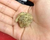 紅茶とハチミツのスノーボールクッキー作り方5写真